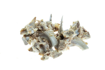 Pile of pork bones on white background