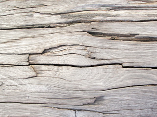 Old wood. Background