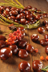 chestnuts and rowan