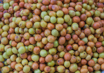 Monkey apple fruits in market, Thailan market.