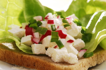 white cheese, cottage cheese, sandwich 