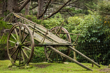 Very Old Farm Wagon