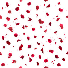 seamless, red rose petals, with scattered bokeh circles, studio photographed and isolated on absolute white