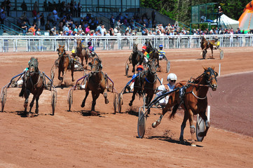 course hippique