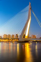 Printed roller blinds Erasmus Bridge Erasmus bridge Rotterdam