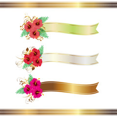 hibiscus and ribbon