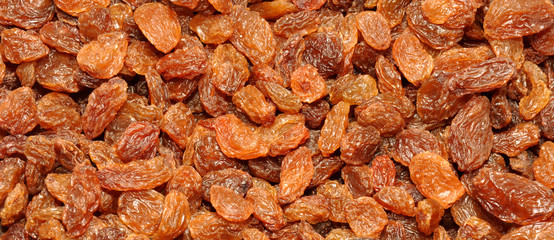 Sultana Background