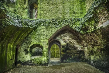 Photo sur Aluminium Rudnes Castle Ruin