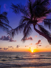 Naklejka na ściany i meble Sea sunrise in Koh Samui island