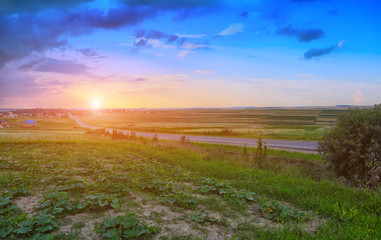Fototapeta na wymiar road through green fields at sunset
