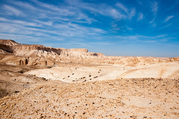 Fototapeta na wymiar Travel in Negev desert, Israel