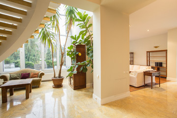 Drawing room in luxurious mansion