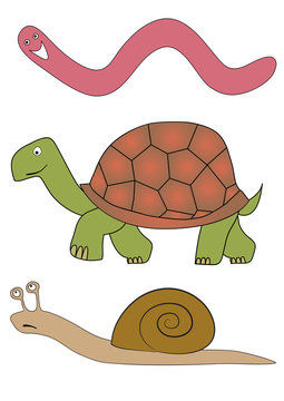 vector slowly animals