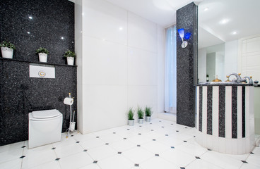Modern black and white toilet