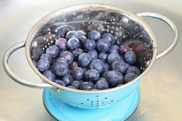 Blueberries in colander, closeup
