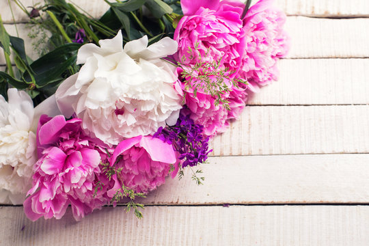 Background with fresh peonies  pink and white flowers