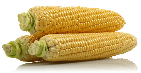 Corn © mates