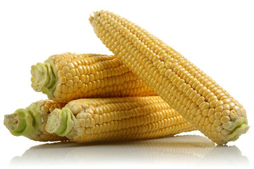 Corn