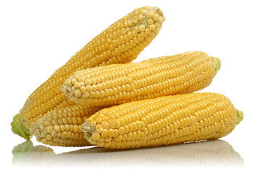 Corn
