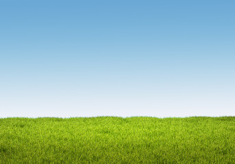 Fototapeta premium Landscape