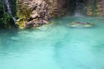 草津温泉の湯畑