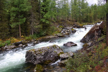 Mountain stream in the Sayan taiga. 