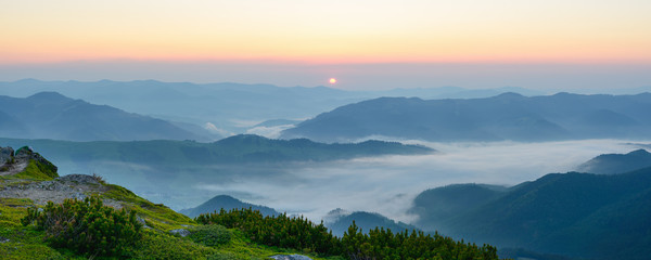 Morning fog in the Carpathian mountains