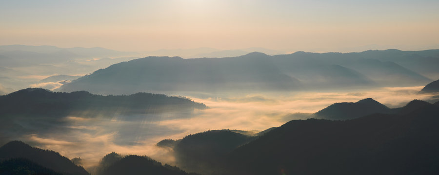 Fototapeta Morning fog in the Carpathian mountains