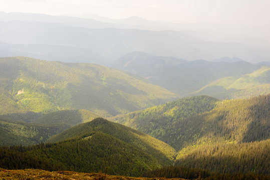 Fototapeta Morning fog in the Carpathian mountains