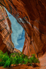 Neon Canyon after the rain storm Utah Landscape