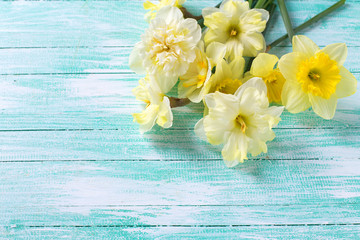 Background with  yellow narcissus