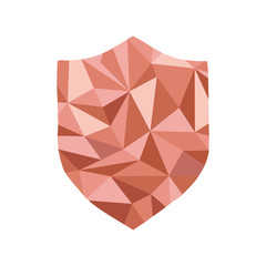 Polygonal guard Icon with geometrical figures