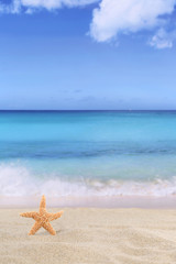 Fototapeta na wymiar Strand Szene Hintergrund im Sommer, Urlaub mit Seestern, Meer
