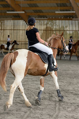 représentation de dressage © Image'in