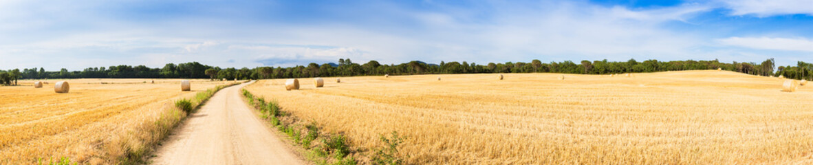 Straw field panorama © funkyfrogstock