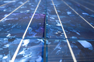 Blue solar panel