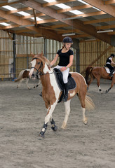 représentation de dressage © Image'in