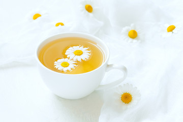 White cup of natural healthy chamomile herb tea with fresh