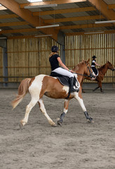 dressage © Image'in