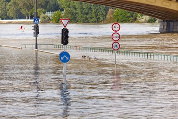 Flooded street