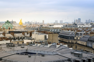 Beautiful Parisian skyline