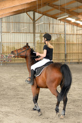 dressage © Image'in