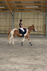 dressage © Image'in