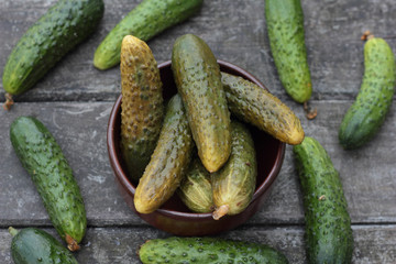 Closeup of some pickled and fresh cucumbers.