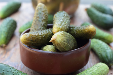 Closeup of some pickled and fresh cucumbers.