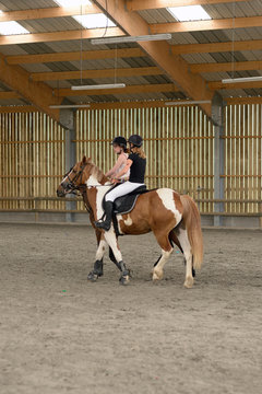 cavalières en manège