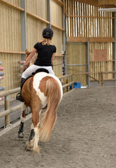 dressage © Image'in