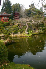 Fototapeta na wymiar Japanese house by the pond