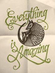 Illustration of armadillo with "Everything is amazing" hand drawn quote on the textured paper background