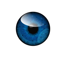 Vector beautiful brown, honey eye